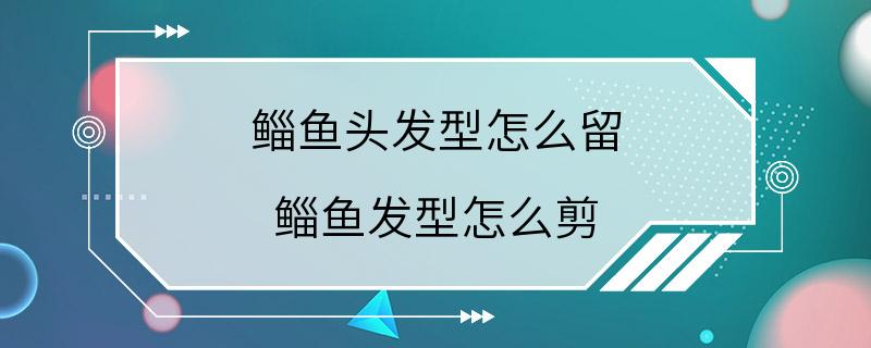 鲻鱼头发型怎么留 鲻鱼发型怎么剪