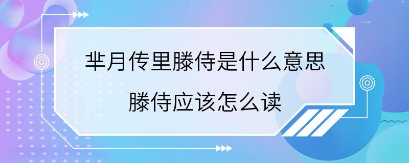 芈月传里滕侍是什么意思 滕侍应该怎么读