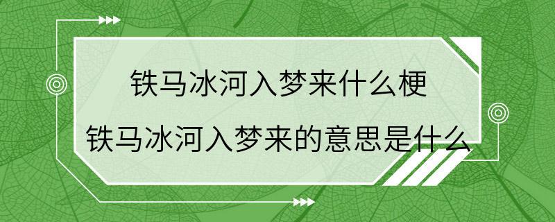 铁马冰河入梦来什么梗 铁马冰河入梦来的意思是什么