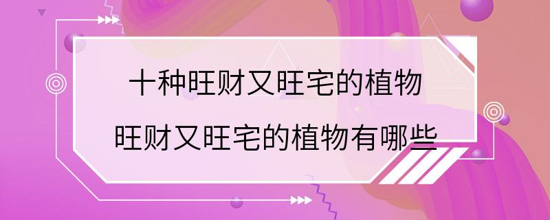 十种旺财又旺宅的植物 旺财又旺宅的植物有哪些