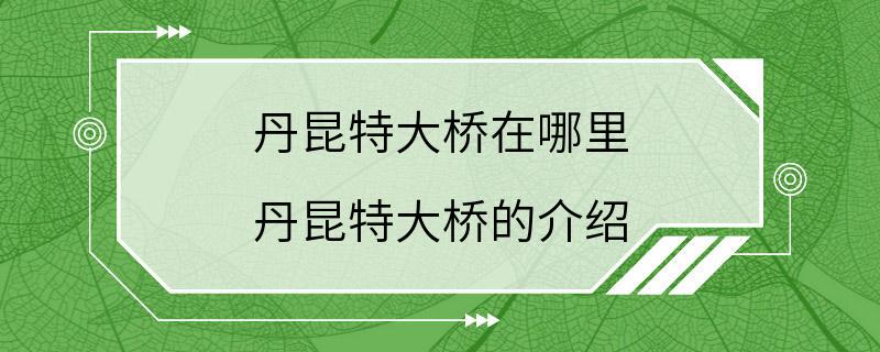 丹昆特大桥在哪里 丹昆特大桥的介绍