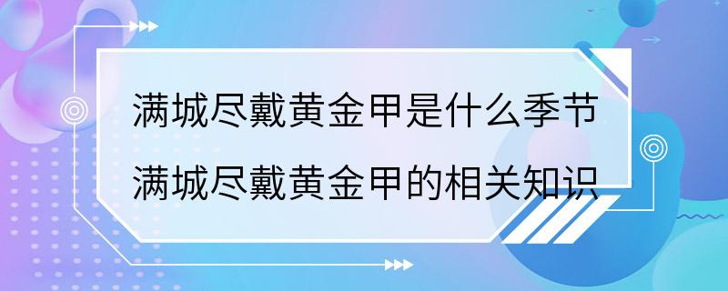 满城尽戴黄金甲是什么季节 满城尽戴黄金甲的相关知识