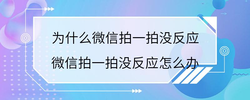 为什么微信拍一拍没反应 微信拍一拍没反应怎么办