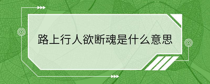 路上行人欲断魂是什么意思