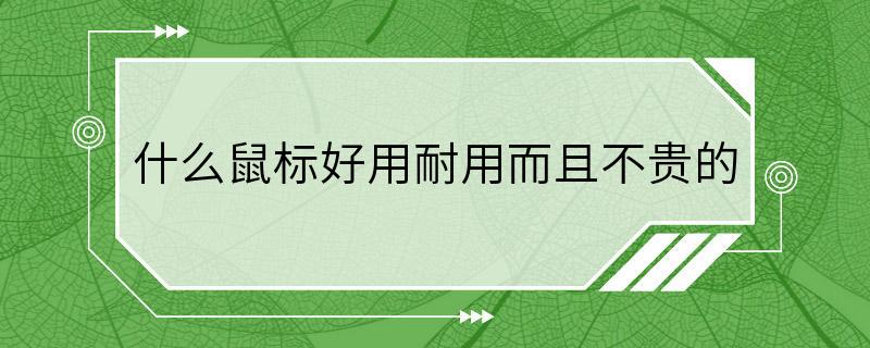 什么鼠标好用耐用而且不贵的