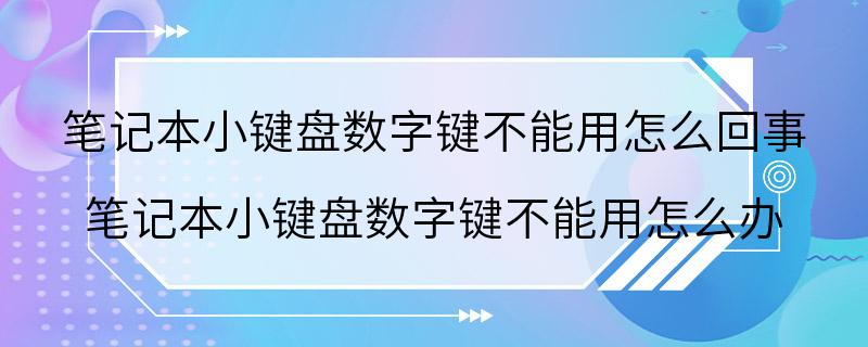 笔记本小键盘数字键不能用怎么回事 笔记本小键盘数字键不能用怎么办