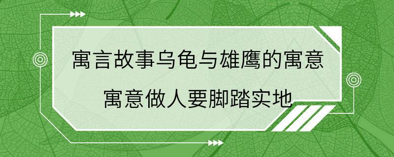 寓言故事乌龟与雄鹰的寓意 寓意做人要脚踏实地