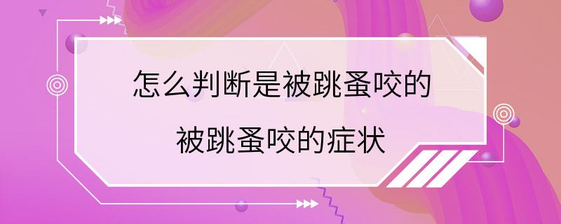 怎么判断是被跳蚤咬的 被跳蚤咬的症状