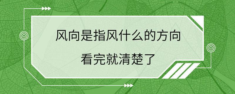 风向是指风什么的方向 看完就清楚了