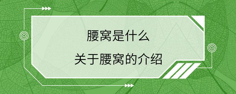 腰窝是什么 关于腰窝的介绍