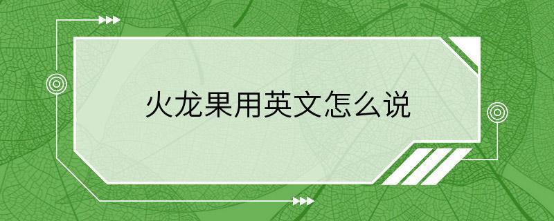 火龙果用英文怎么说