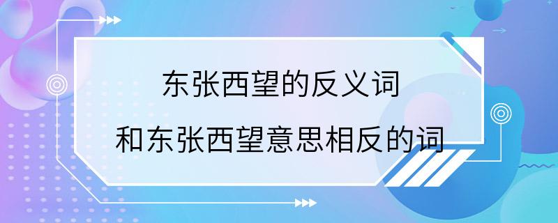 东张西望的反义词 和东张西望意思相反的词