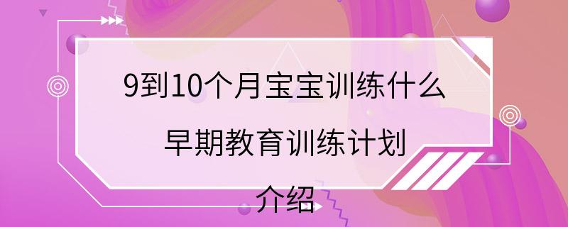 9到10个月宝宝训练什么 早期教育训练计划 介绍