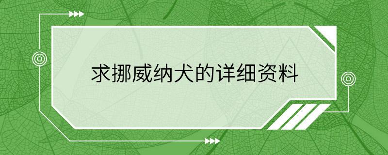 求挪威纳犬的详细资料