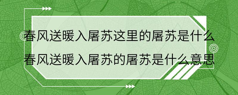 春风送暖入屠苏这里的屠苏是什么 春风送暖入屠苏的屠苏是什么意思