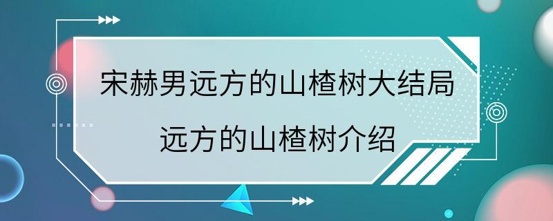 宋赫男远方的山楂树大结局 远方的山楂树介绍