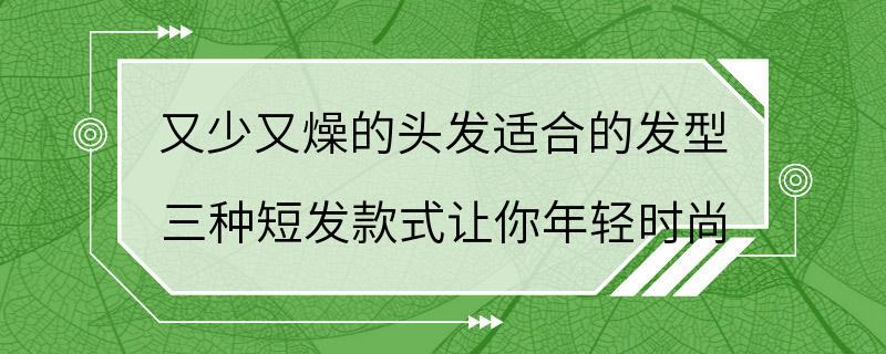 又少又燥的头发适合的发型 三种短发款式让你年轻时尚