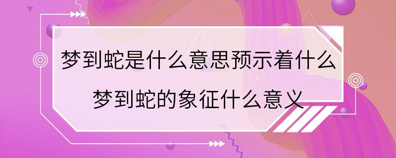 梦到蛇是什么意思预示着什么 梦到蛇的象征什么意义