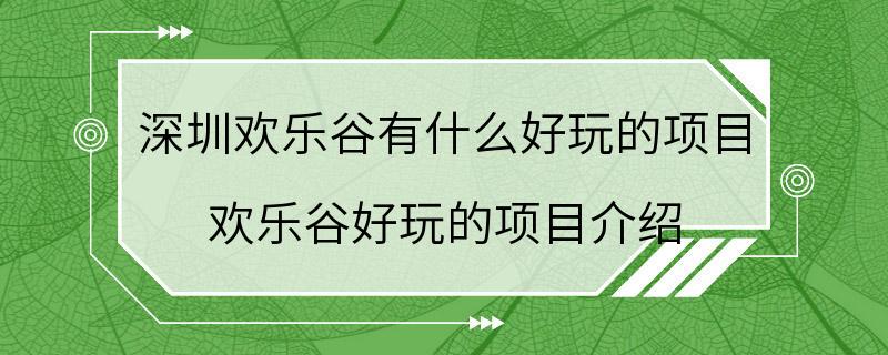 深圳欢乐谷有什么好玩的项目 欢乐谷好玩的项目介绍