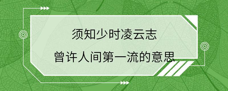 须知少时凌云志 曾许人间第一流的意思