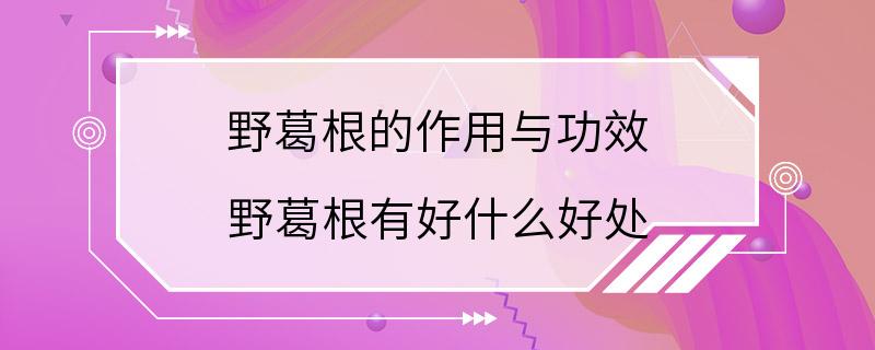 野葛根的作用与功效 野葛根有好什么好处