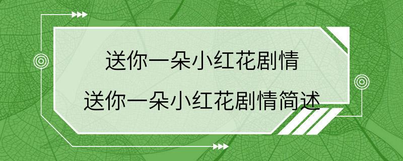 送你一朵小红花剧情 送你一朵小红花剧情简述