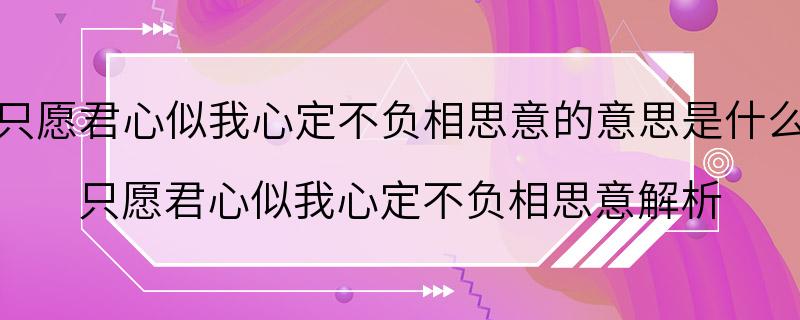 只愿君心似我心定不负相思意的意思是什么 只愿君心似我心定不负相思意解析