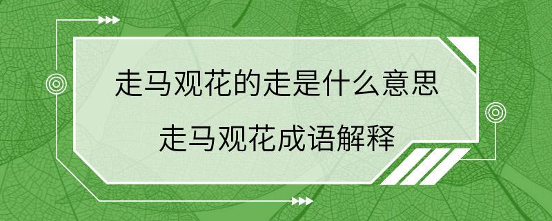 走马观花的走是什么意思 走马观花成语解释