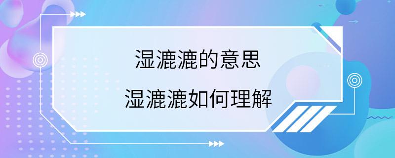 湿漉漉的意思 湿漉漉如何理解