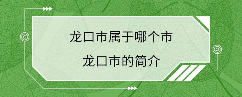 龙口市属于哪个市 龙口市的简介