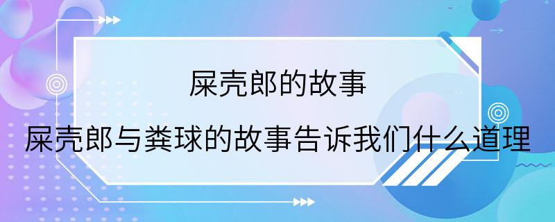 屎壳郎的故事 屎壳郎与粪球的故事告诉我们什么道理