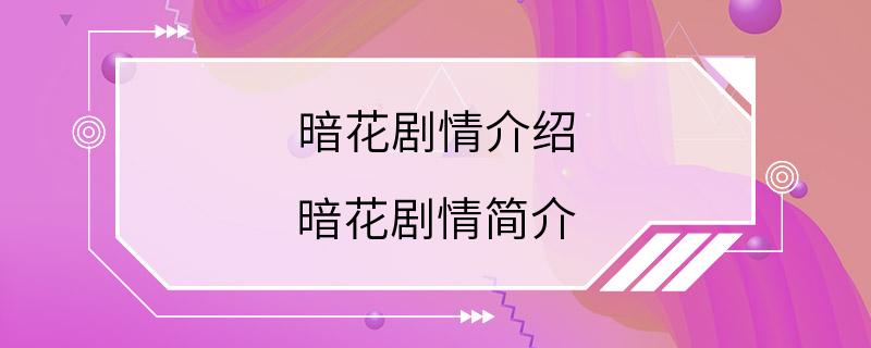 暗花剧情介绍 暗花剧情简介