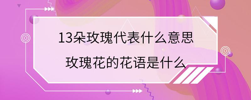 13朵玫瑰代表什么意思 玫瑰花的花语是什么