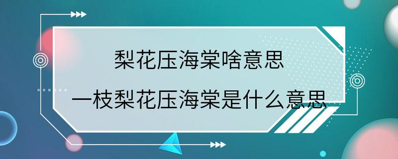 梨花压海棠啥意思 一枝梨花压海棠是什么意思