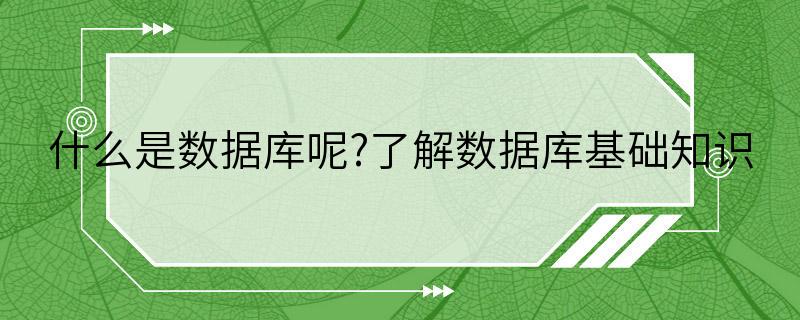 什么是数据库呢?了解数据库基础知识