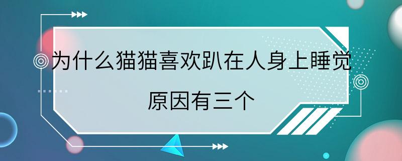 为什么猫猫喜欢趴在人身上睡觉 原因有三个