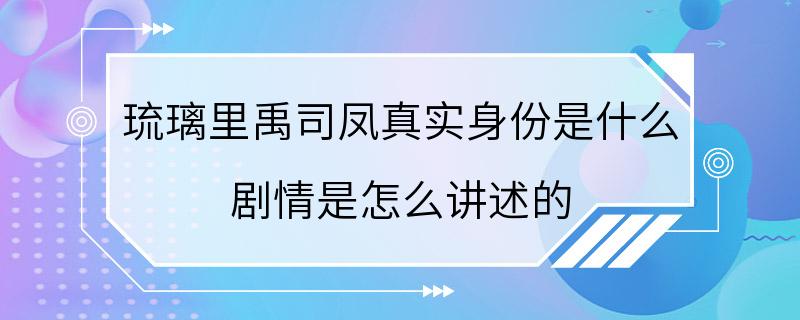 琉璃里禹司凤真实身份是什么 剧情是怎么讲述的