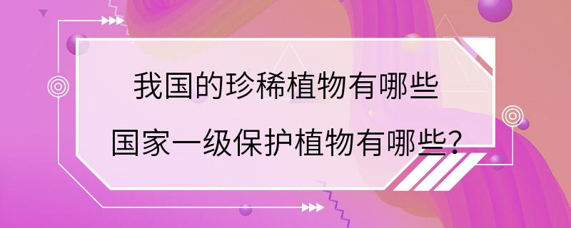 我国的珍稀植物有哪些 国家一级保护植物有哪些？