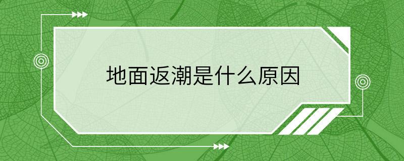 地面返潮是什么原因