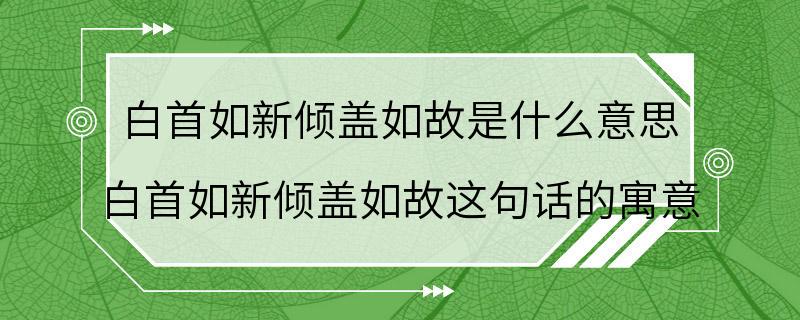 白首如新倾盖如故是什么意思 白首如新倾盖如故这句话的寓意