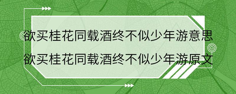 欲买桂花同载酒终不似少年游意思 欲买桂花同载酒终不似少年游原文