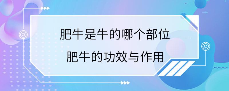 肥牛是牛的哪个部位 肥牛的功效与作用