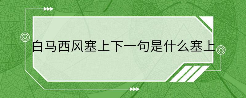 白马西风塞上下一句是什么塞上