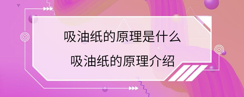 吸油纸的原理是什么 吸油纸的原理介绍