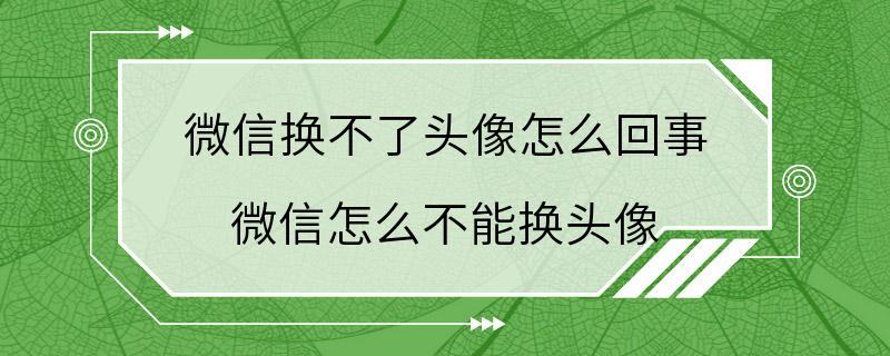 微信换不了头像怎么回事 微信怎么不能换头像