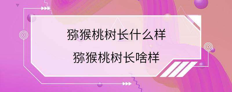 猕猴桃树长什么样 猕猴桃树长啥样