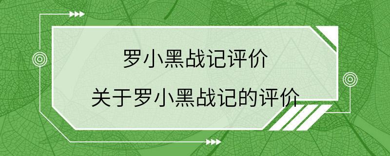 罗小黑战记评价 关于罗小黑战记的评价