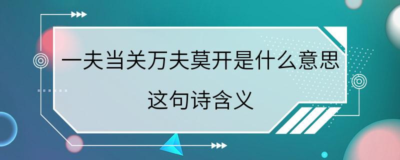 一夫当关万夫莫开是什么意思 这句诗含义