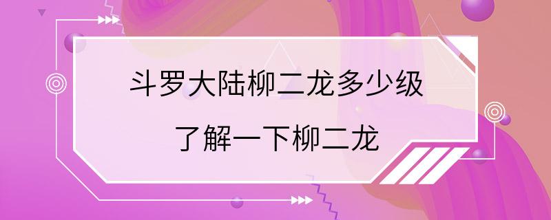 斗罗大陆柳二龙多少级 了解一下柳二龙