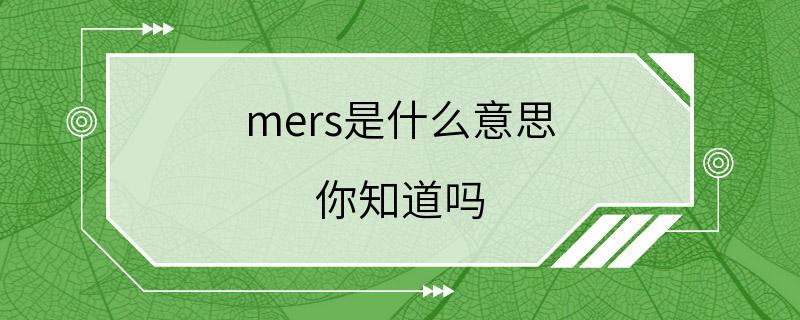 mers是什么意思 你知道吗